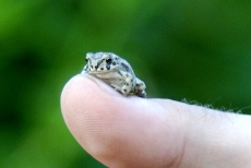 20100711 182828.jpg